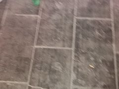 -彭哥甩饼王(城隍庙广场店)