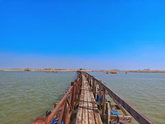 -盐城丹顶鹤湿地生态旅游区