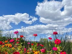 -永定河休闲森林公园