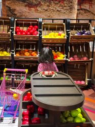 -卡通尼·Safari非洲探索乐园·生日会(金桥国际商业广场店)