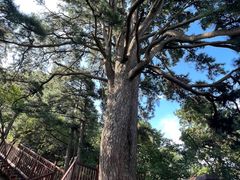 -终南山南五台景区