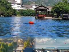 -瑶湖郊野森林公园