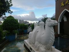 -马大胡子清真西北菜