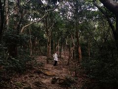 -梧桐山风景名胜区