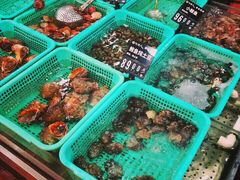 -浩运·海鲜青岛菜·海胆水饺(石老人店)