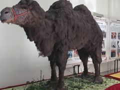 -中国第四纪冰川遗迹陈列馆