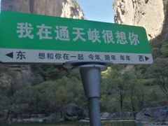 -山西通天峡景区