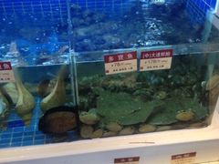 iphone_upload_pic-金苑海鲜酒家(来魅力店)