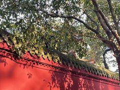 -峨眉山报国寺