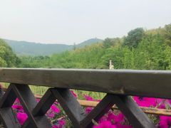 -旺山·浪头人家