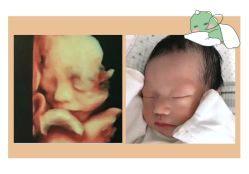 -杭州贝瑞斯美华妇儿医院·早孕·产检·儿科