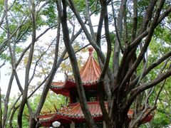 -深圳龙潭公园