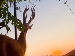 -东湖食堂·湖景餐厅•会议