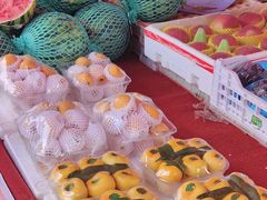 -长春农博园