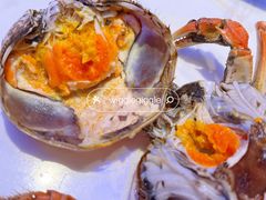-半岛听涛蒸汽海鲜自助(K11店)