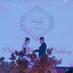 -保定金沙芝柏婚礼策划