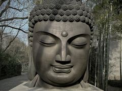 -杭州植物园