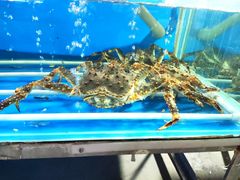 -韩家墅海吉星农产品批发市场