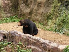 -杭州野生动物世界