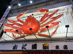 -蟹道乐(道顿堀本店)