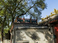 -春风习习