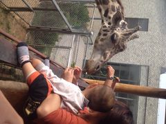 iphone_upload_pic-石家庄市动物园