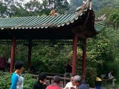 -黔灵山公园-南门售票处