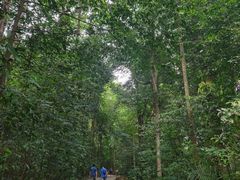 -武吉知马自然保护区