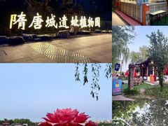 -洛阳市隋唐城遗址植物园