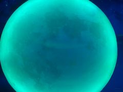 -南昌梵高星空艺术馆