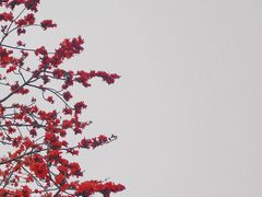 -火炉山森林公园