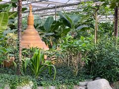 -南宫五洲植物乐园