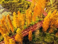 -广州市石门国家森林公园