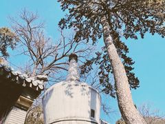 -潭柘寺景区