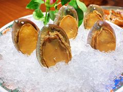 手工冰镇鲍鱼-木棉·醉心粤味(COCO Park店)