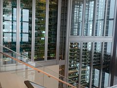 -重庆解放碑威斯汀酒店
