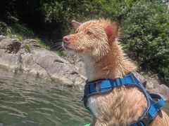 -安吉龙王山峡谷漂流