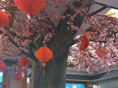 -鸥迪足道(安庆店)