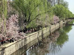 -海棠花溪(元大都城垣遗址公园)