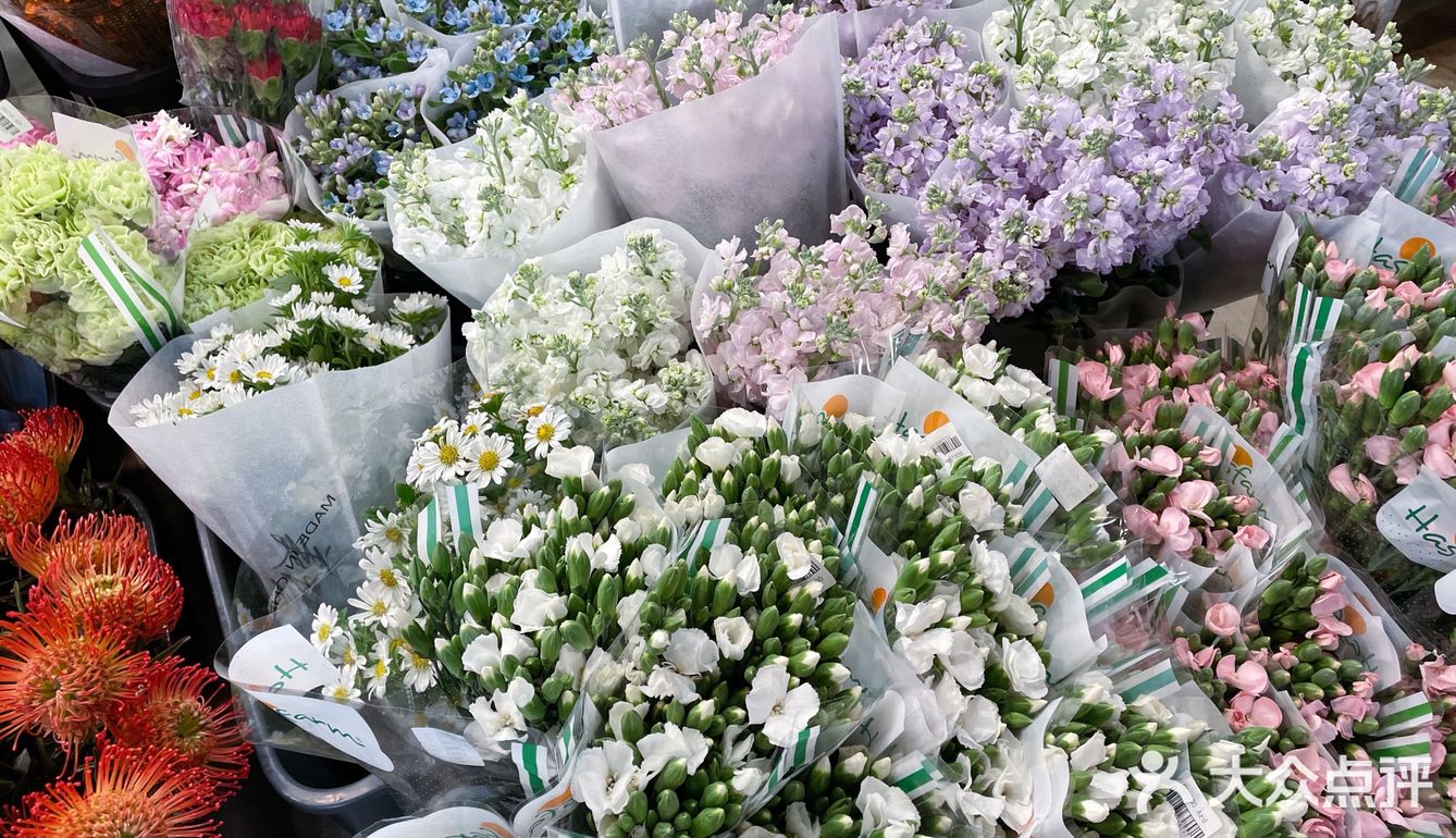 鲜花世界女孩的世界