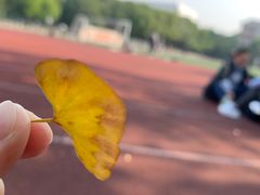 -上海民办至德实验学校