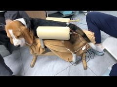 -北京派仕佳德动物医院·超导核磁·CT·神经科·骨科·内外科·急重症管理中心