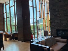 -逸廊大堂吧-下午茶·简餐-千岛湖自由洲际殿