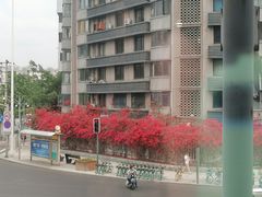 -有红鸡毛店·川菜(建设路店)