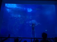 -太平洋海底世界