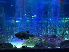 -沈阳海洋探索中心