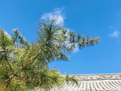 景点-长安寺