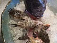 -熹悟海鲜火锅·广式打边炉
