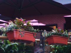 -浦江二号·独栋江景餐厅(滨江大道店)