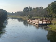 -上海海湾国家森林公园